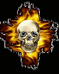 pic for Skull Fire